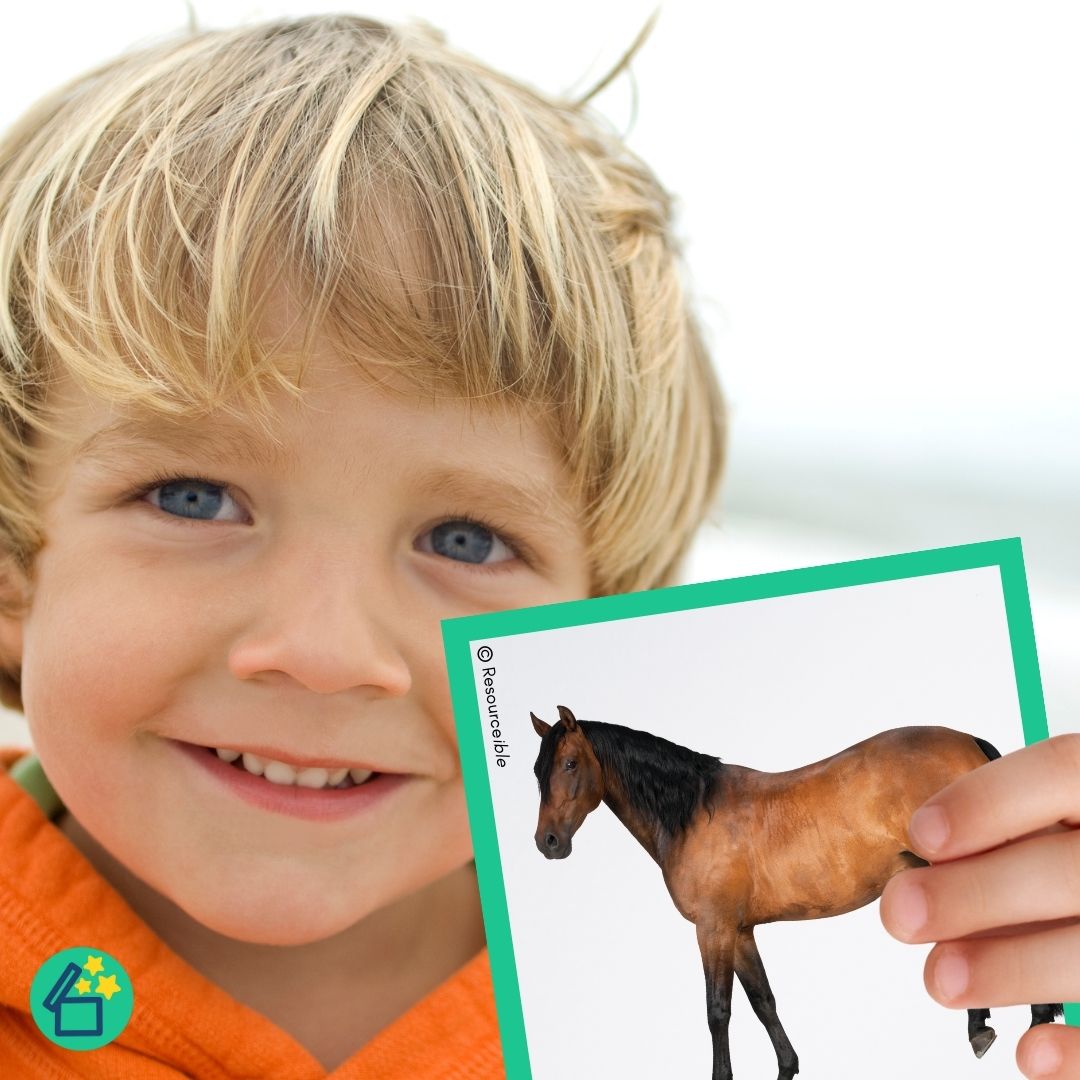 H Words | Words beginning with H | Speech Therapy Resources | pdf