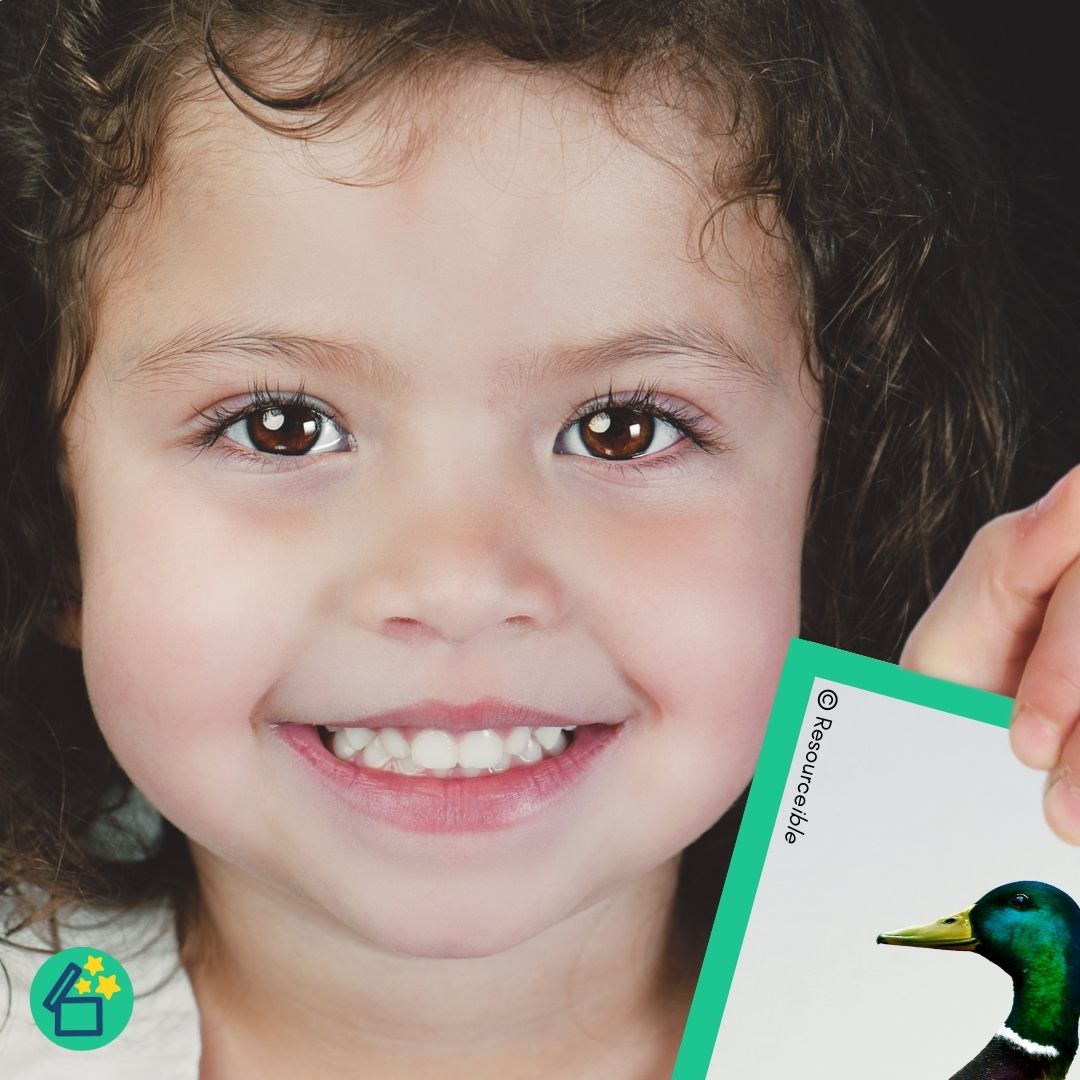 Minimal Pairs B and D | Speech Therapy Activities | pdf