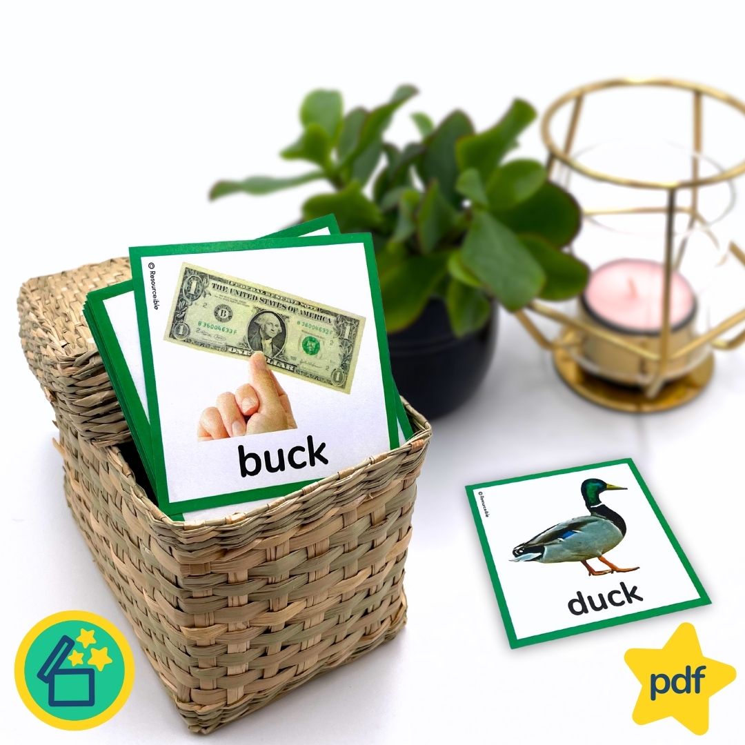 Minimal Pairs B and D | Speech Therapy Activities | pdf