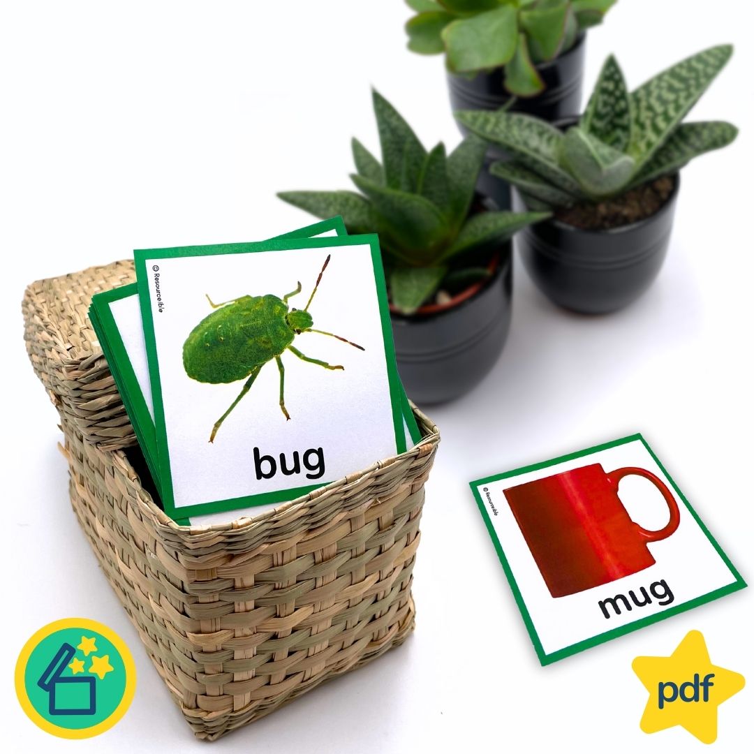 Minimal Pairs B and M | Speech Therapy Activities | pdf
