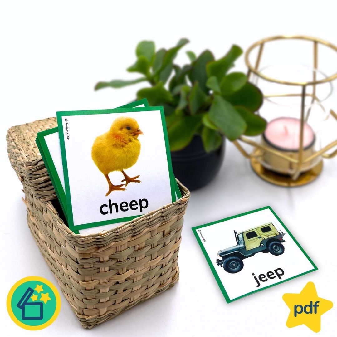 Minimal Pairs CH and DZ | Speech Therapy Activities | pdf