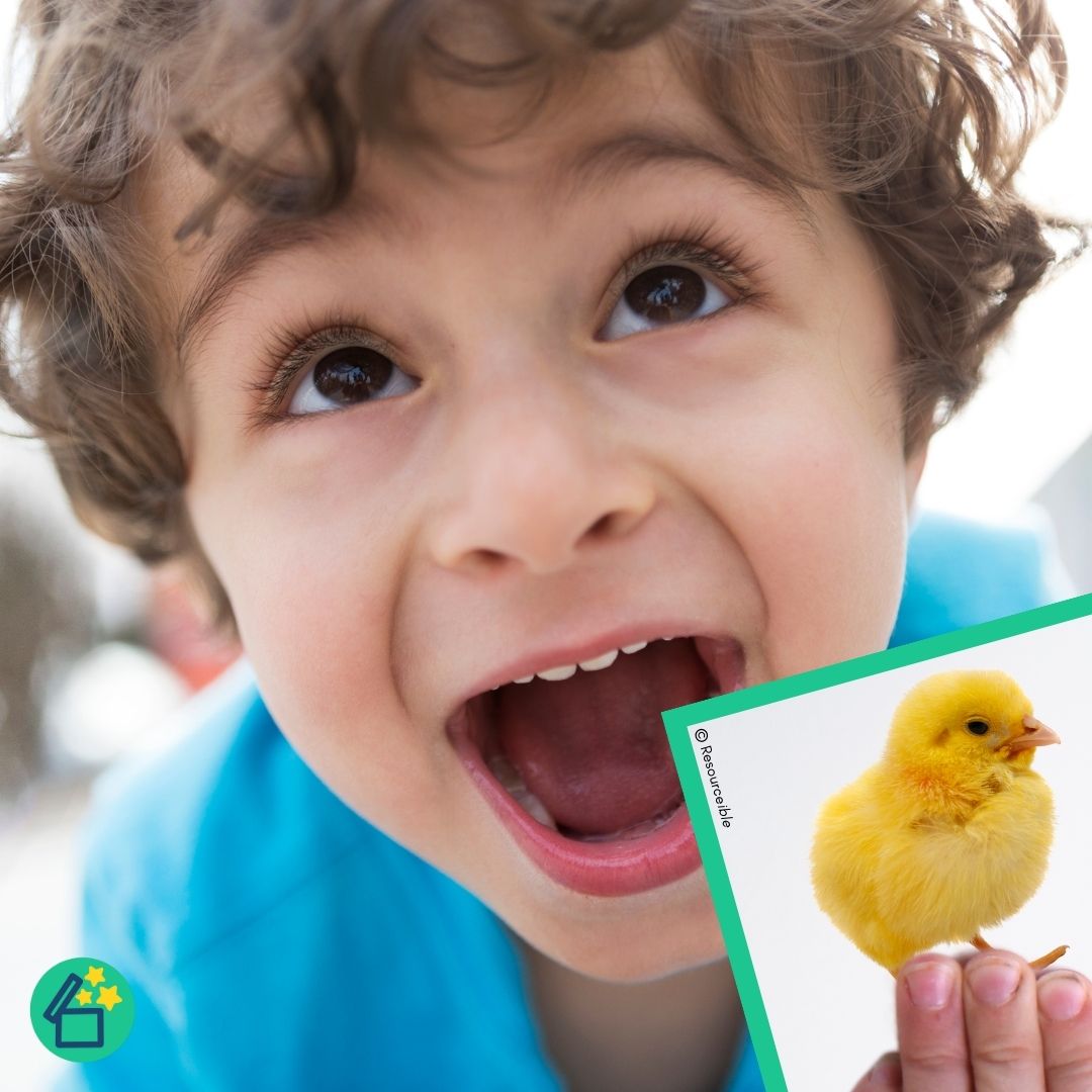Minimal Pairs CH and DZ | Speech Therapy Activities | pdf