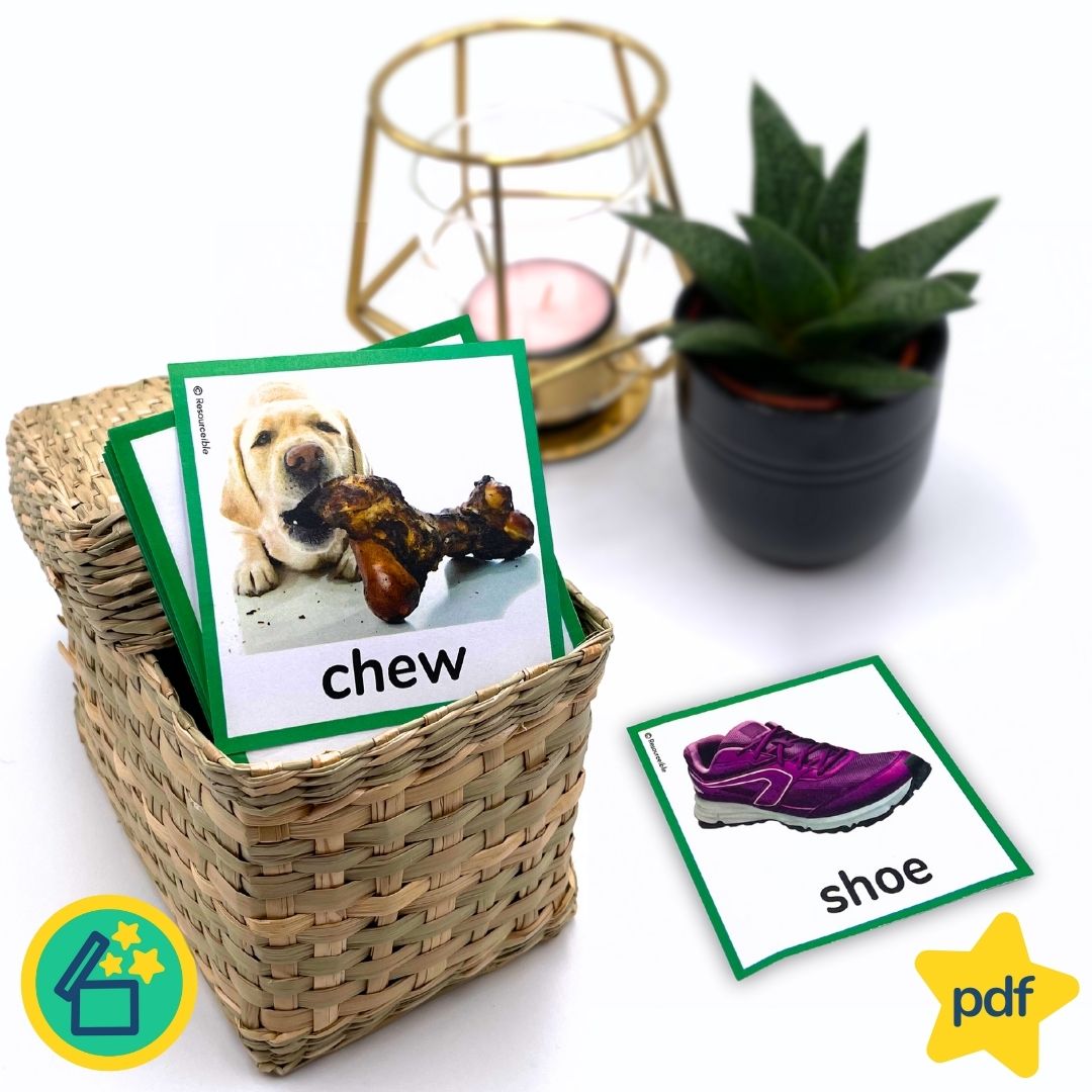 Minimal Pairs CH and SH | Speech Therapy Activities | pdf