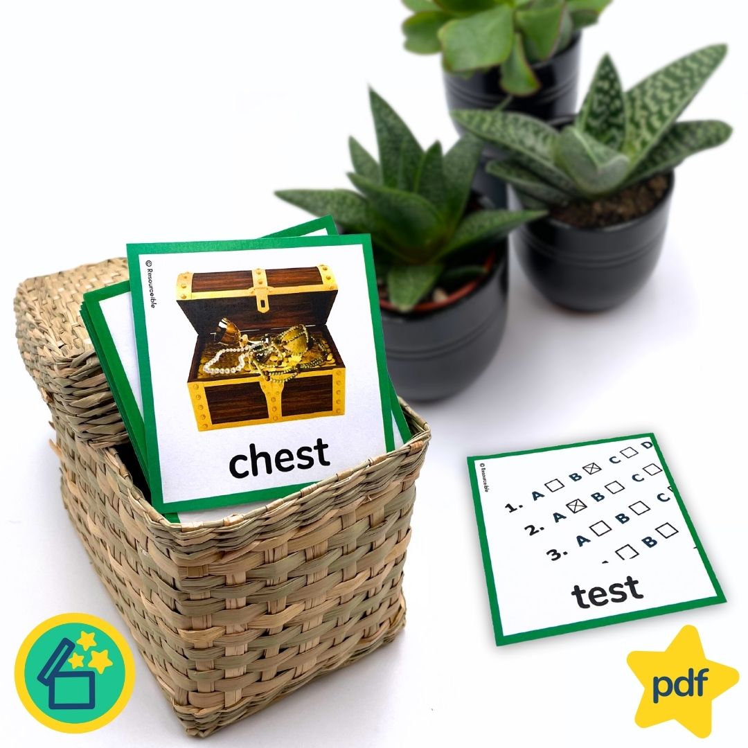 Minimal Pairs CH and T | Speech Therapy Activities | pdf
