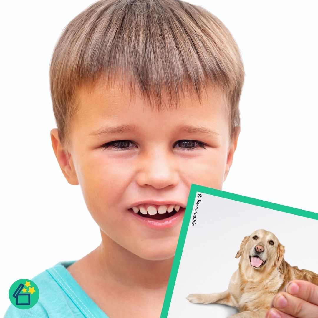 Minimal Pairs D and K | Speech Therapy Activities | pdf