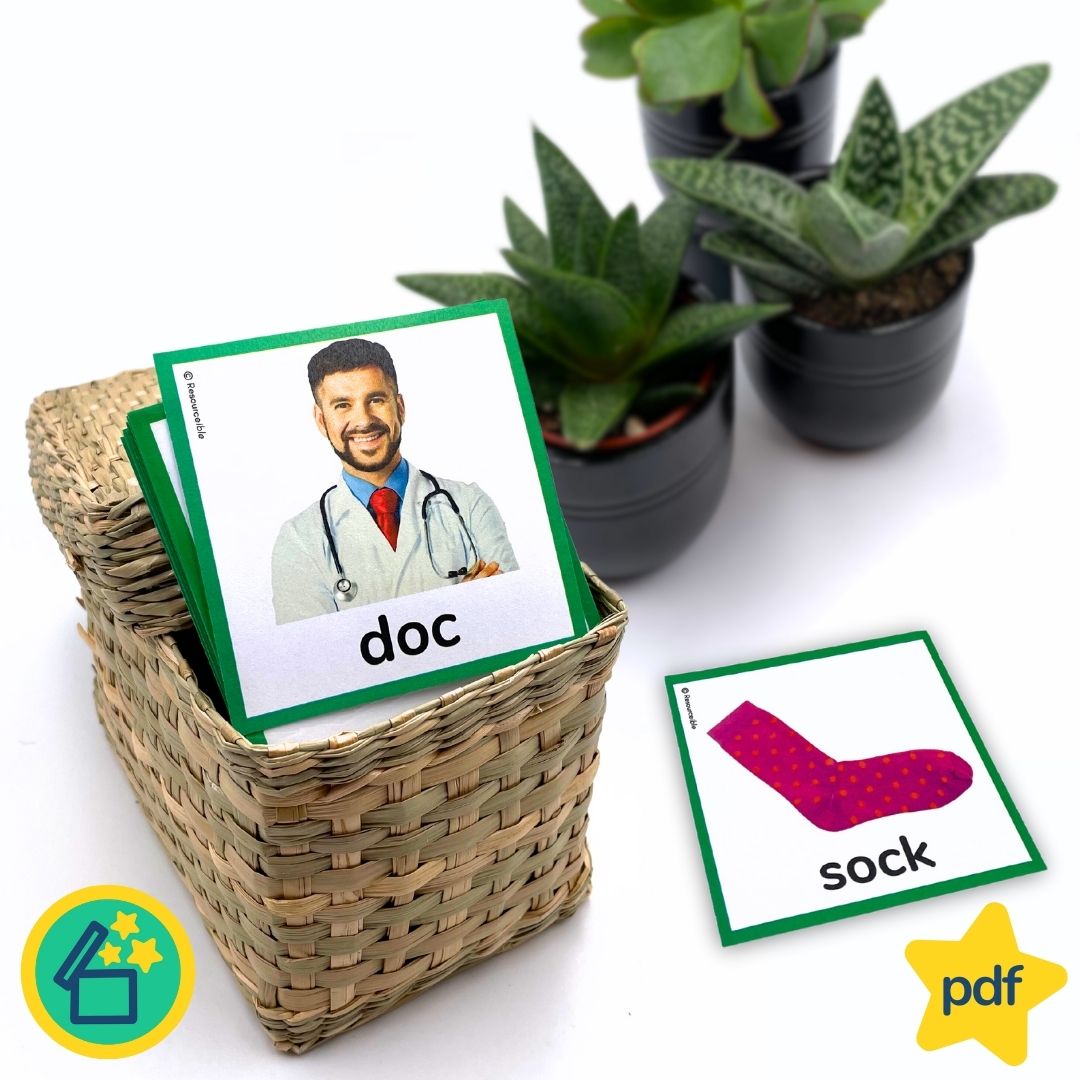 Minimal Pairs D and S | Speech Therapy Activities | pdf