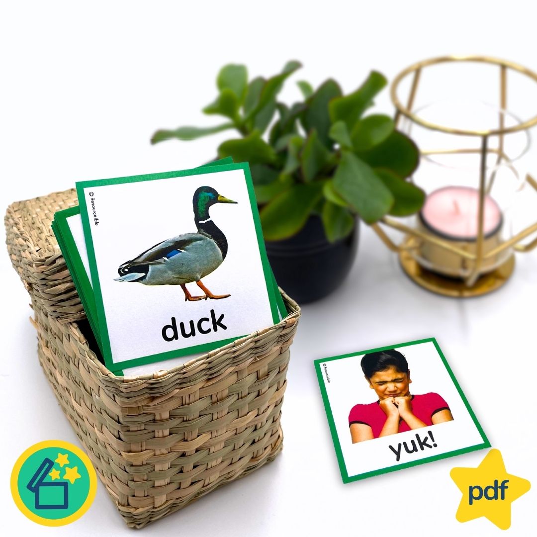 Minimal Pairs D and Y | Speech Therapy Activities | pdf