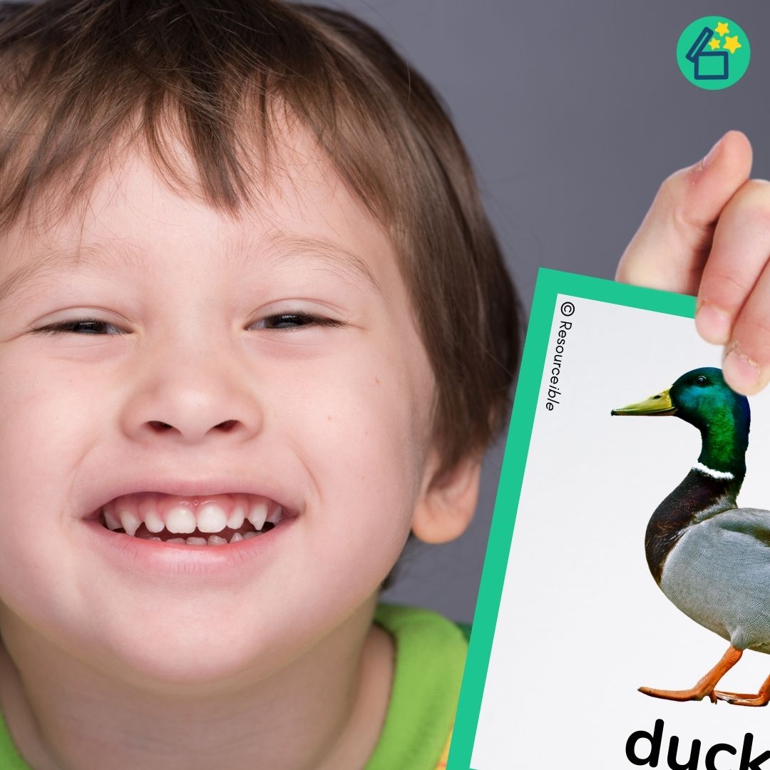 Minimal Pairs D and Y | Speech Therapy Activities | pdf