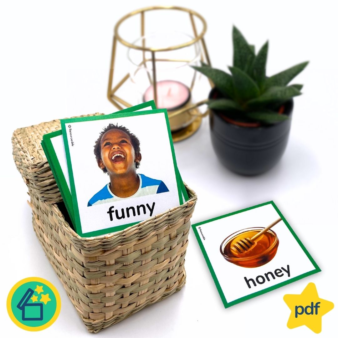 Minimal Pairs F and H | Speech Therapy Activities | pdf