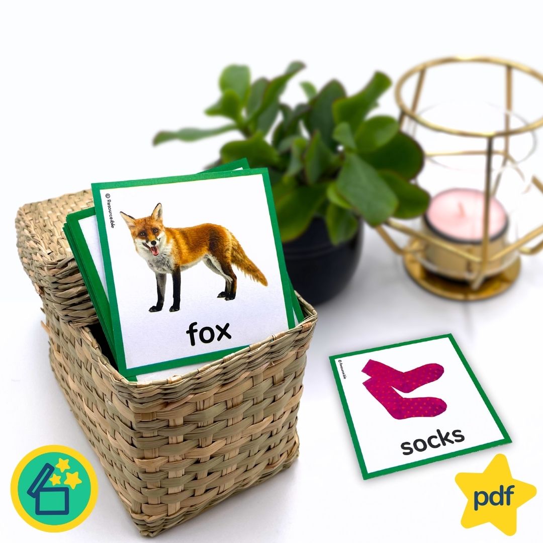 Minimal Pairs F and S | Speech Therapy Activities | pdf
