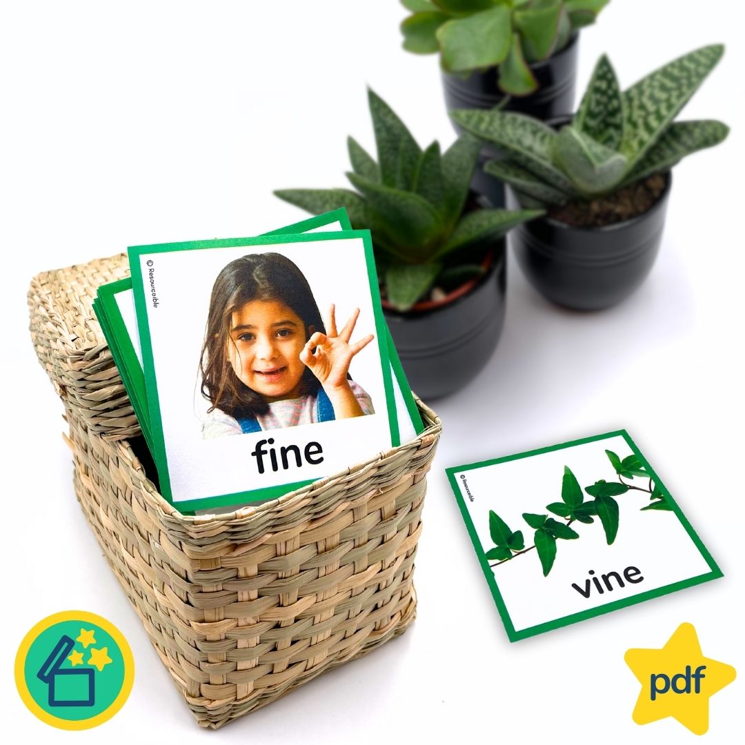 Minimal Pairs F and V | Speech Therapy Activities | pdf