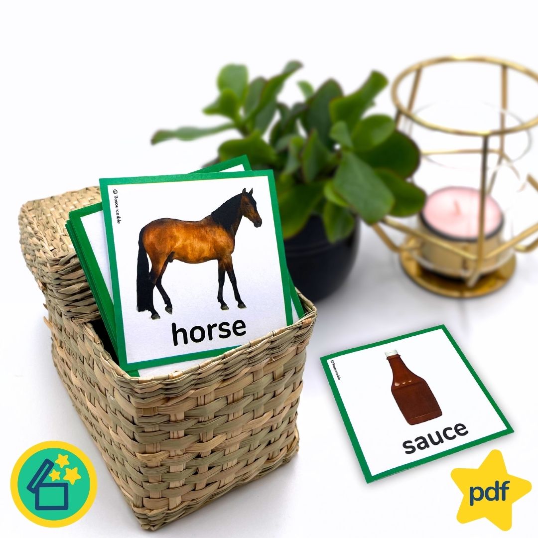 Minimal Pairs H and S | Speech Therapy Activities | pdf