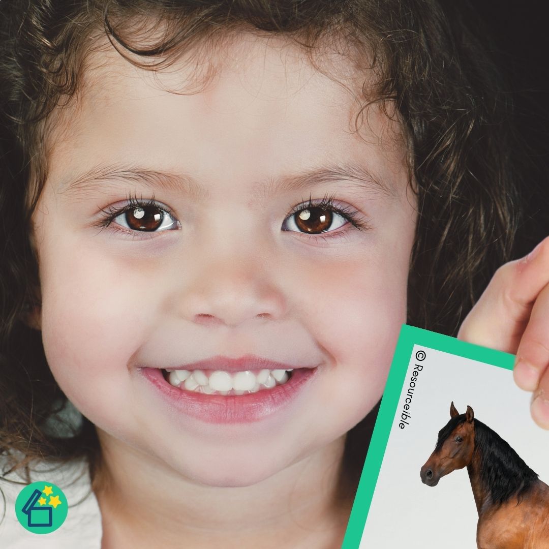 Minimal Pairs H and S | Speech Therapy Activities | pdf