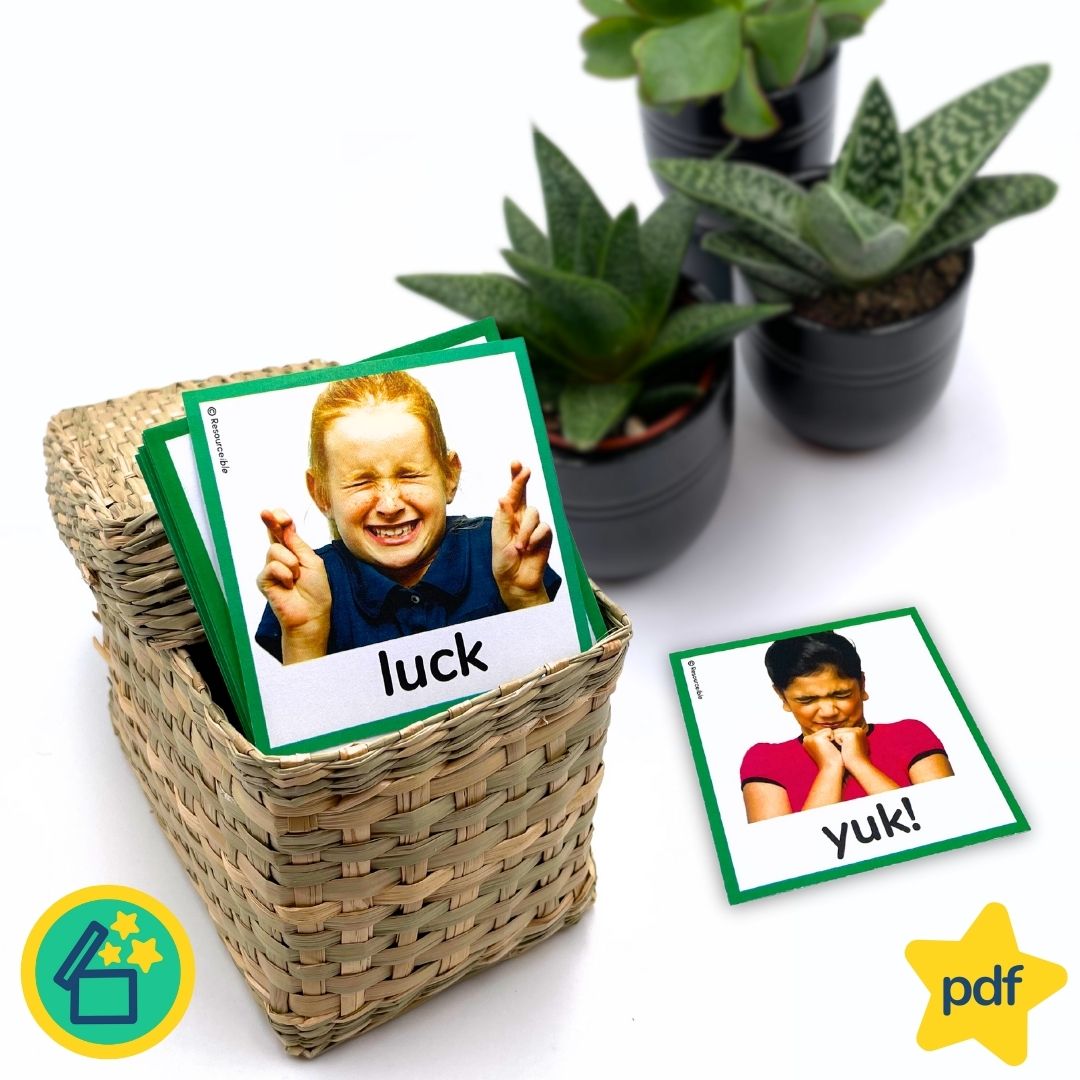 Minimal Pairs L and Y | Speech Therapy Activities | pdf