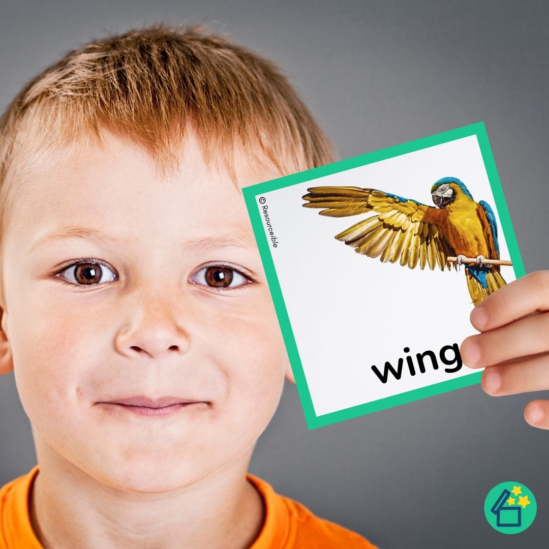 Minimal Pairs R and W | Speech Therapy Activities | pdf