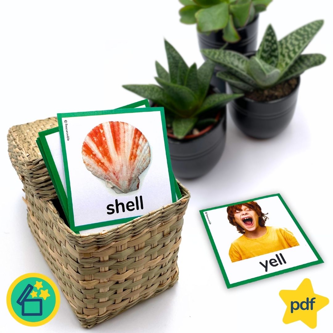 Minimal Pairs SH and Y | Speech Therapy Activities | pdf
