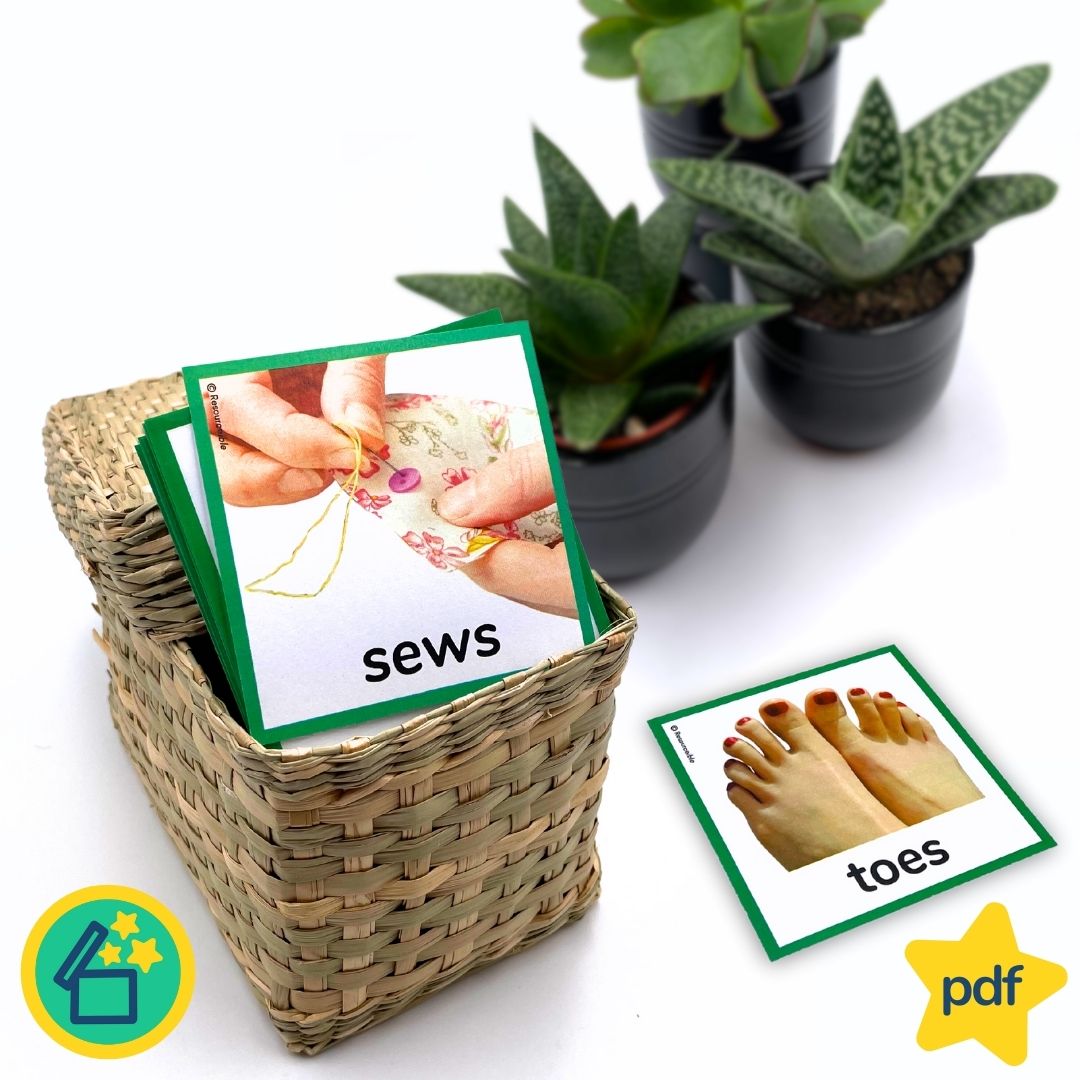 Minimal Pairs S and T | Speech Therapy Activities | pdf