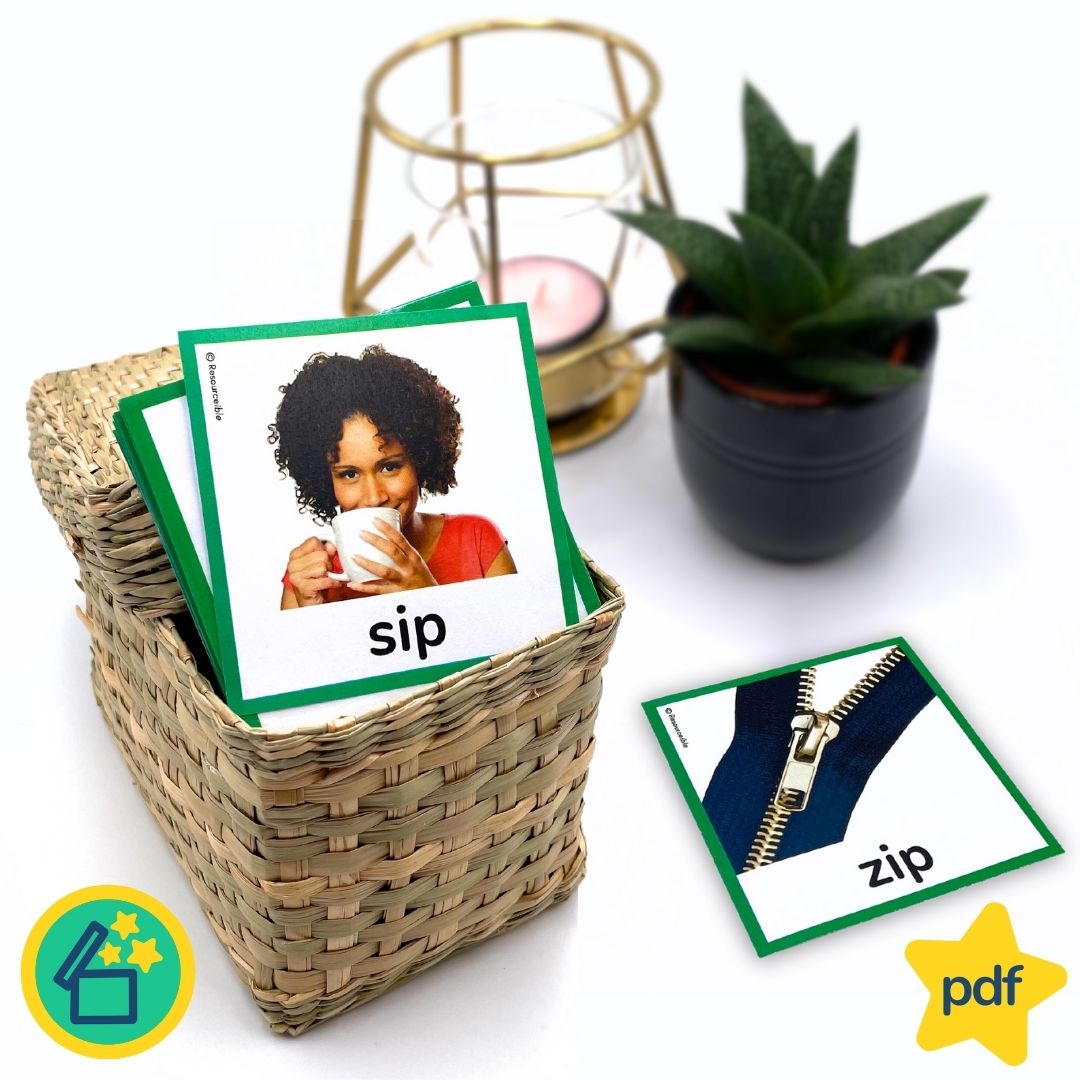 Minimal Pairs S and Z | Speech Therapy Activities | pdf
