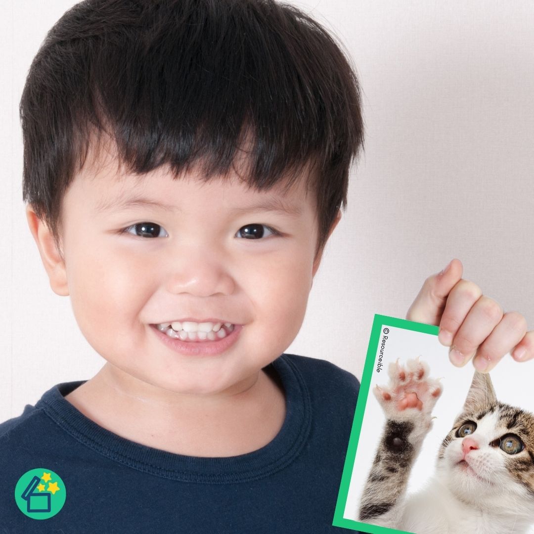 P Words | Words beginning with P | Speech Therapy Resources | pdf