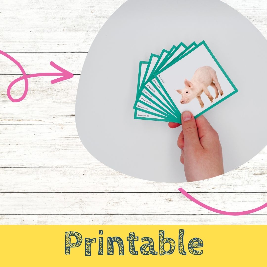 P Words | Words beginning with P | Speech Therapy Resources | pdf