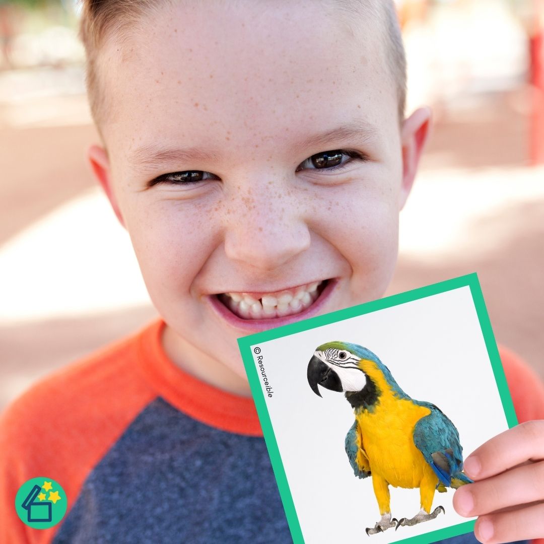 R Words | Words with R in the middle | Speech Therapy Resources | pdf