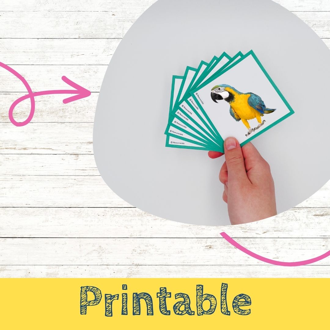 R Words | Words with R in the middle | Speech Therapy Resources | pdf