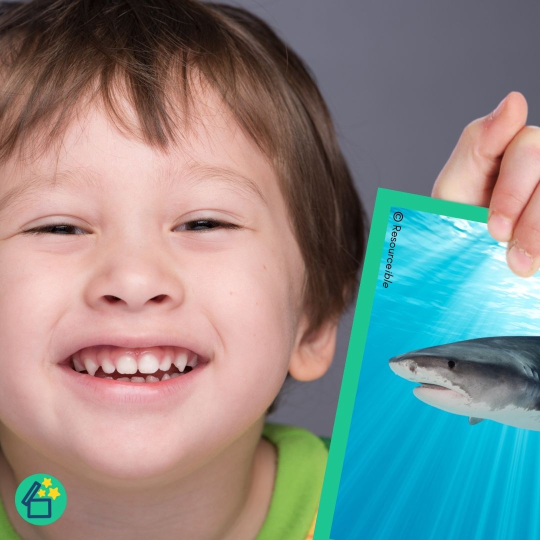 SH Words | Words beginning with SH | Speech Therapy Resources | pdf