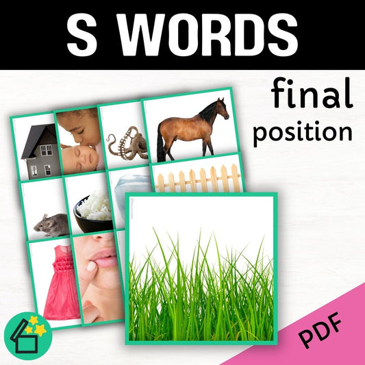 S word list for speech therapy and teachers by Resourceible. Eliciting the S sound at the end of words.
