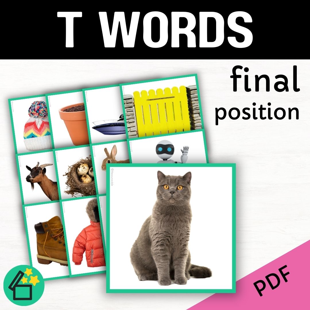 T word list for speech therapy and teachers by Resourceible. Eliciting the T sound at the end of words.