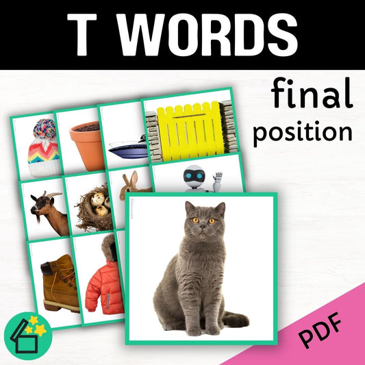 T word list for speech therapy and teachers by Resourceible. Eliciting the T sound at the end of words.