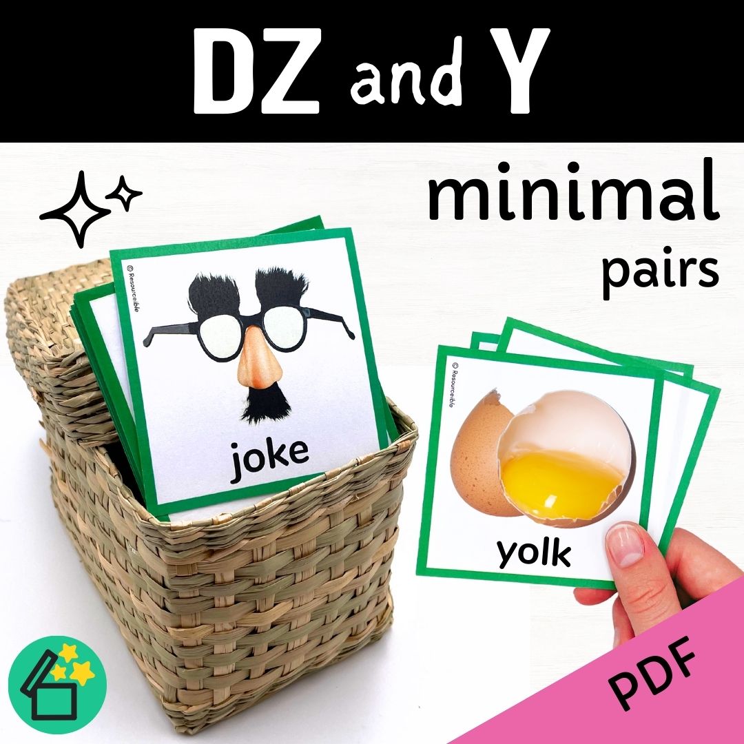 Minimal Pairs DZ and Y | Speech Therapy Activities | pdf