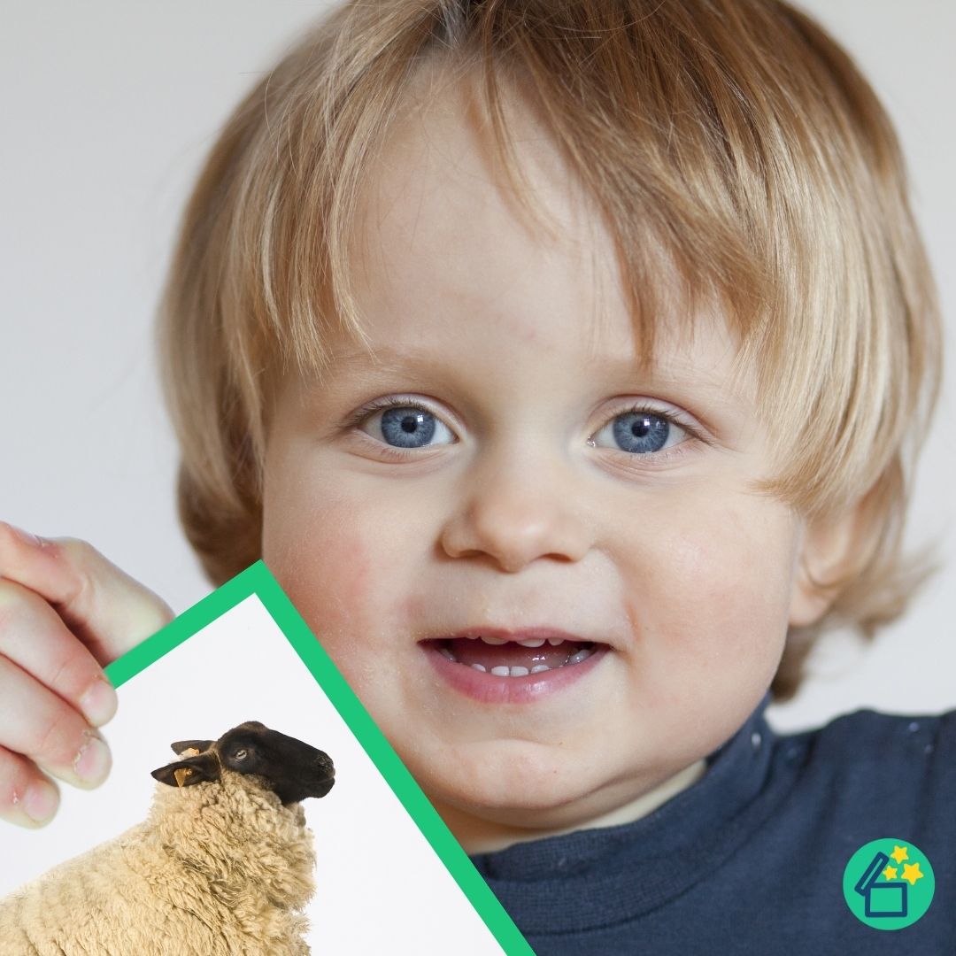 P Words Words ending with P Speech Therapy Resources pdf