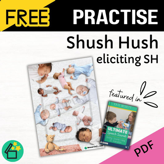 Shush Hush Ultimate Speech Sounds Eliciting Sounds Using 3D Animation Book by Kate Beckett.