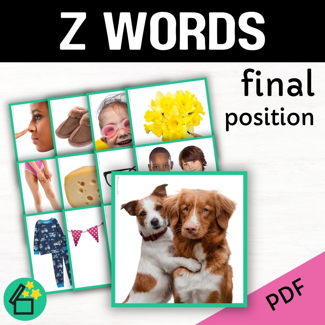 Z word list for speech therapy and teachers by Resourceible. Eliciting the Z sound at the end of words.